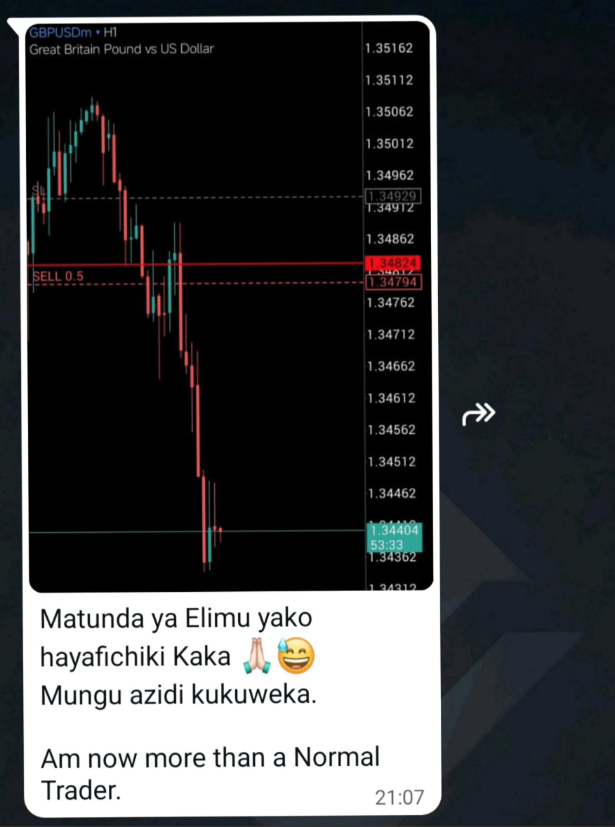 Trading Result 12